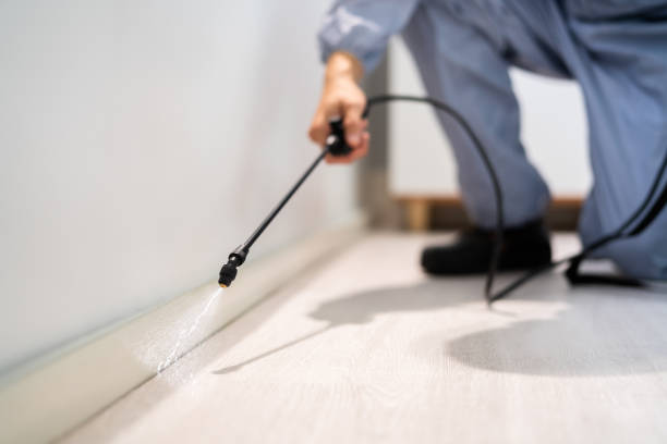 Licensed Termite Control service in Cheshire Village, CT - Nex Pest Control