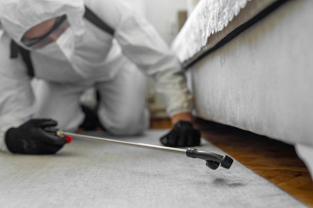 Professional Termite Control technician working in Cheshire Village, CT