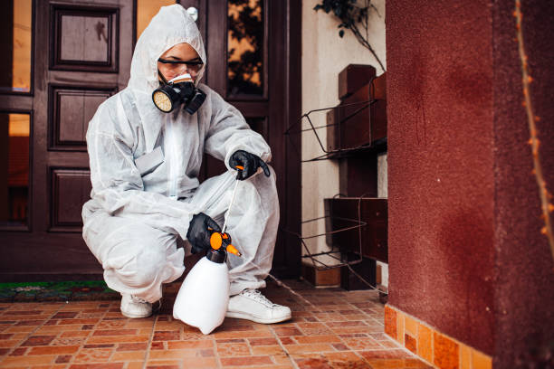 Reliable Termite Control contractor in Cheshire Village, CT by Nex Pest Control