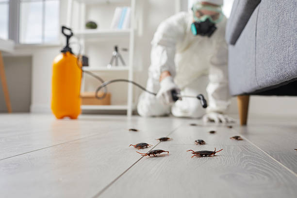 Trusted Termite Control service in Cheshire Village, CT - Nex Pest Control