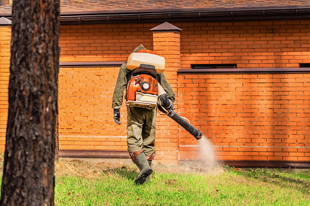 Trusted Ant Control service in Cheshire Village, CT - Nex Pest Control